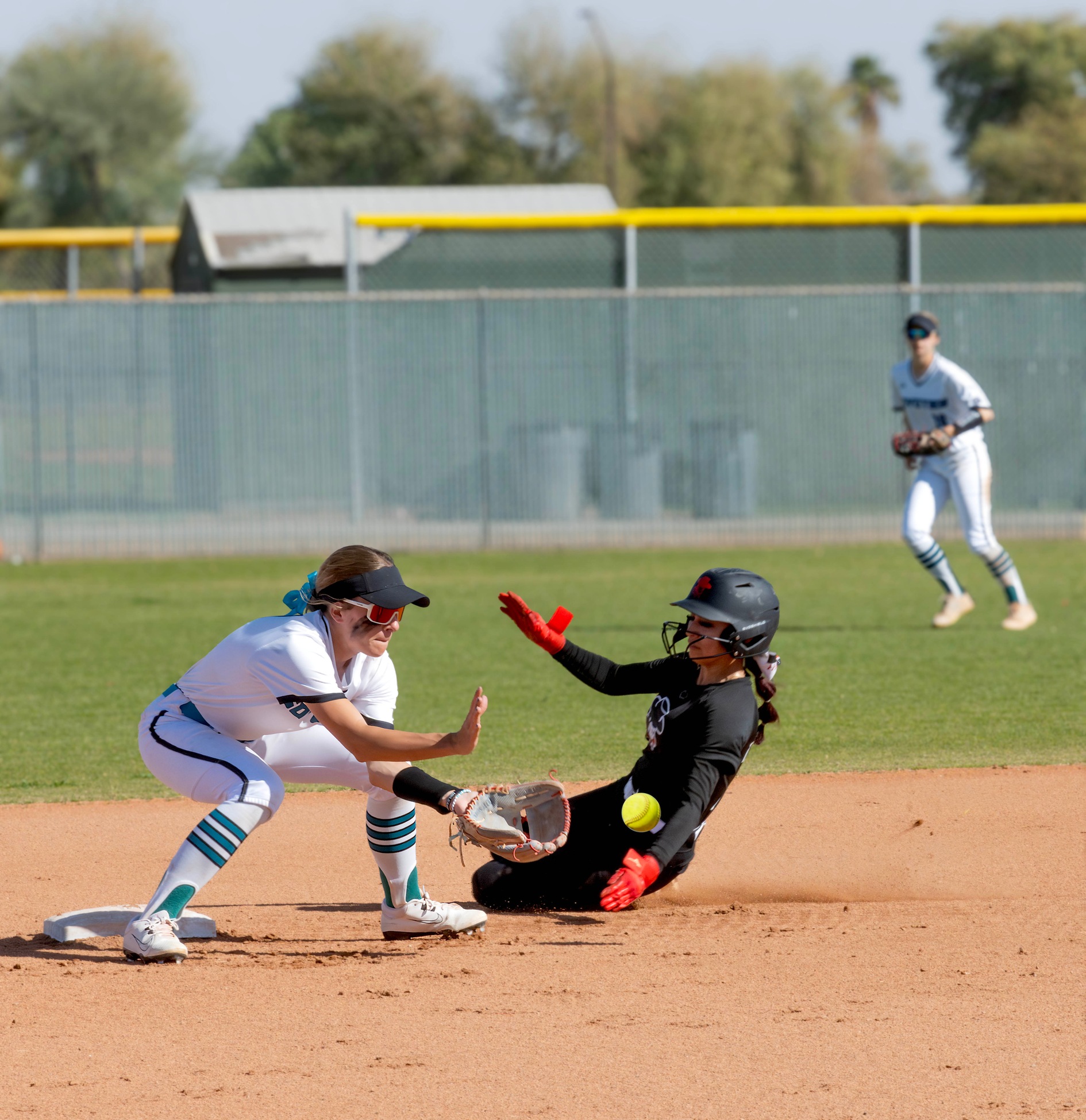 Coyote Softball pushing for playoffs